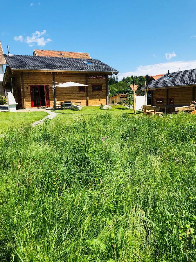 Blockhaus An Der Skiwiese Браунлаге Екстериор снимка